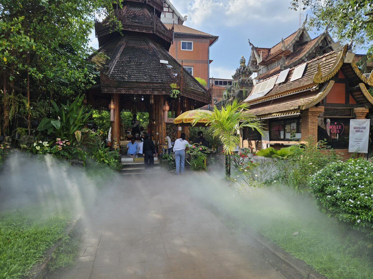 왓록몰리 내부1