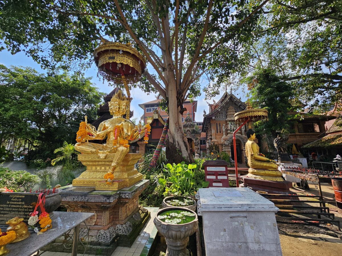 왓록몰리 내부2